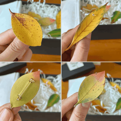 Handmade Brooch - Leaf Brooch, Leather Falling Leaves Brooch Set