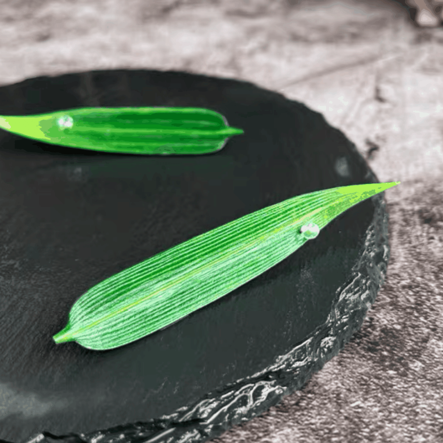 Handmade Brooch - Leather Leaf Brooch Set - Begonia, Bamboo Leaves